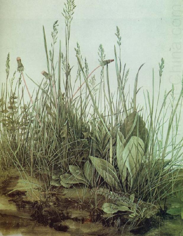 The Great Piece of Turf, Albrecht Durer